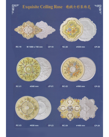 Exquisite Ceiling